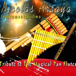 收聽Nicolás Arraya的Annie Song歌詞歌曲
