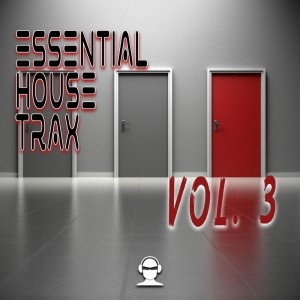 Various Artists的专辑Essential House Trax Vol.3