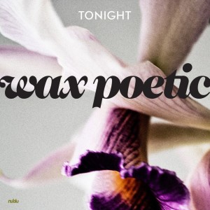 อัลบัม Tonight - Single ศิลปิน Wax Poetic