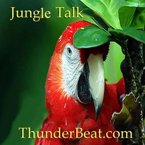Album Jungle Talk (Radio Edit) from Thunderbeat