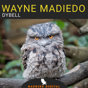 ดาวน์โหลดและฟังเพลง Not Angry พร้อมเนื้อเพลงจาก Wayne Madiedo