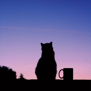 收听Sharan的Midnight Coffee歌词歌曲