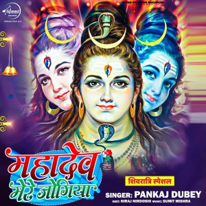 Listen to Mahadev Mere Jogiya song with lyrics from Pankaj Dubey