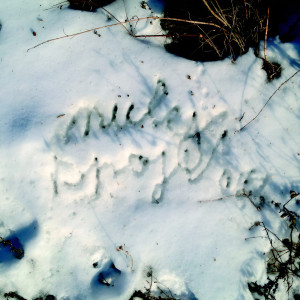 Album spojit (Explicit) from Nuly