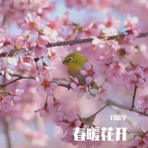 Album 春暖花开 from 闫荣华