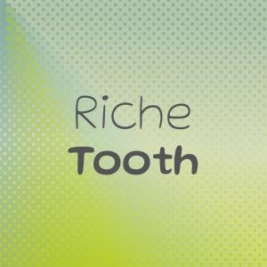 Various Artists的專輯Riche Tooth