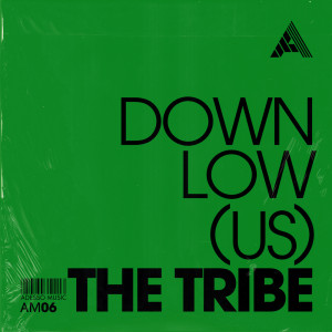 Album The Tribe oleh DOWNLow (US)