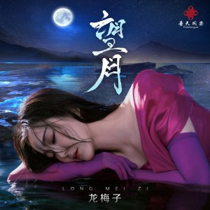 龙梅子的专辑望月