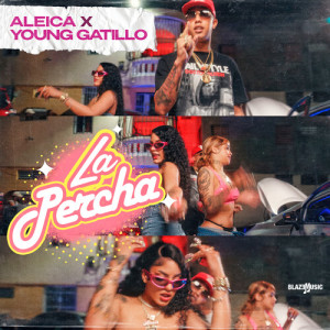 Listen to La Percha (Explicit) song with lyrics from Young Gatillo