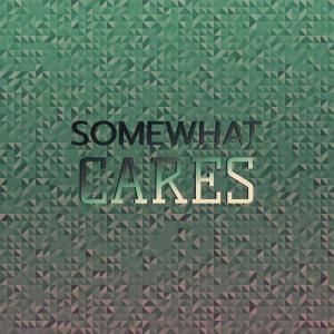 Various Artists的專輯Somewhat Cares