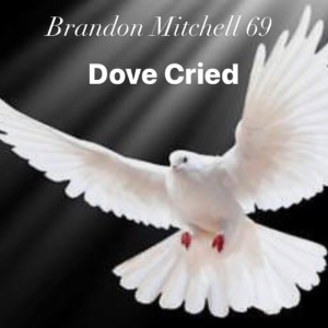 Dove Cried dari Brandon MItchell 69