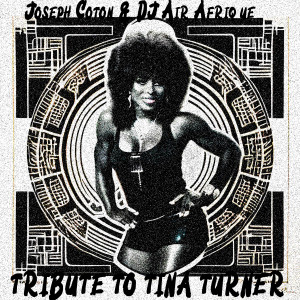 Listen to Tribute To Tina Turner song with lyrics from Joseph Cotton