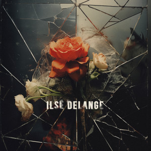 Ilse Delange的專輯Good To You