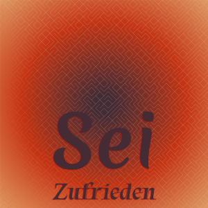 Listen to Sei Zufrieden song with lyrics from Roland Trio