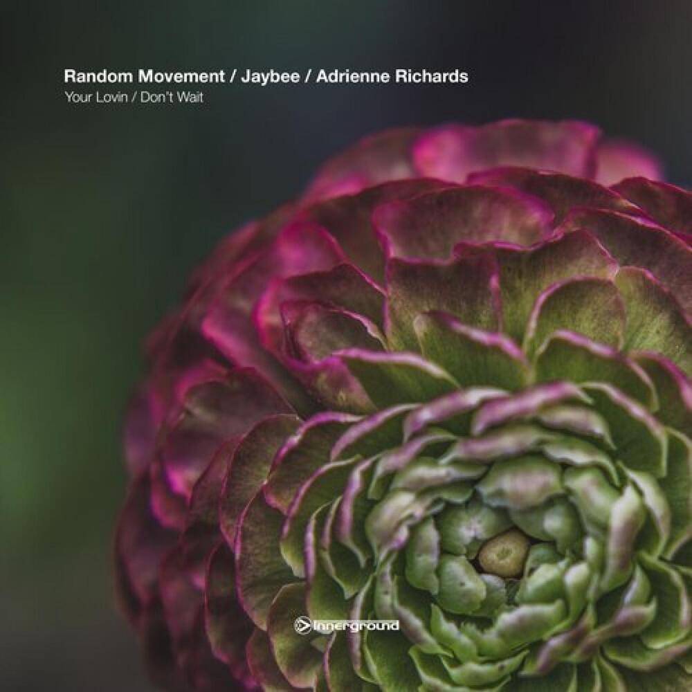 Your Lovin' Feat. Adrienne Richards (Original Mix)