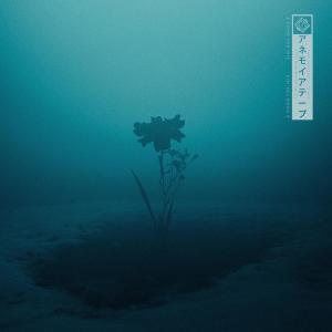 收聽Snowfall的A Song For Iris歌詞歌曲