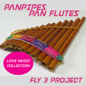 ดาวน์โหลดและฟังเพลง Se Stiamo Insieme พร้อมเนื้อเพลงจาก Fly 3 Project