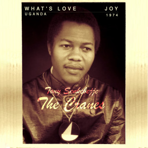 ดาวน์โหลดและฟังเพลง What's Love พร้อมเนื้อเพลงจาก The Cranes