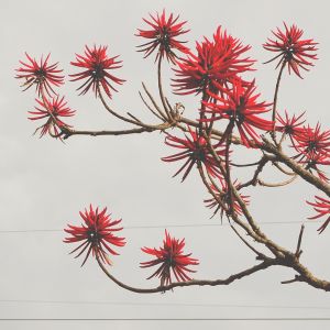 Listen to Send It song with lyrics from 音素萱萱