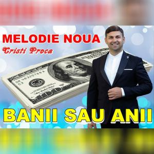 收聽Cristi Proca的BANII SAU ANII歌詞歌曲