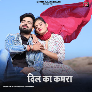 Listen to Dil Ka Kamra song with lyrics from Ramavtar Rebari