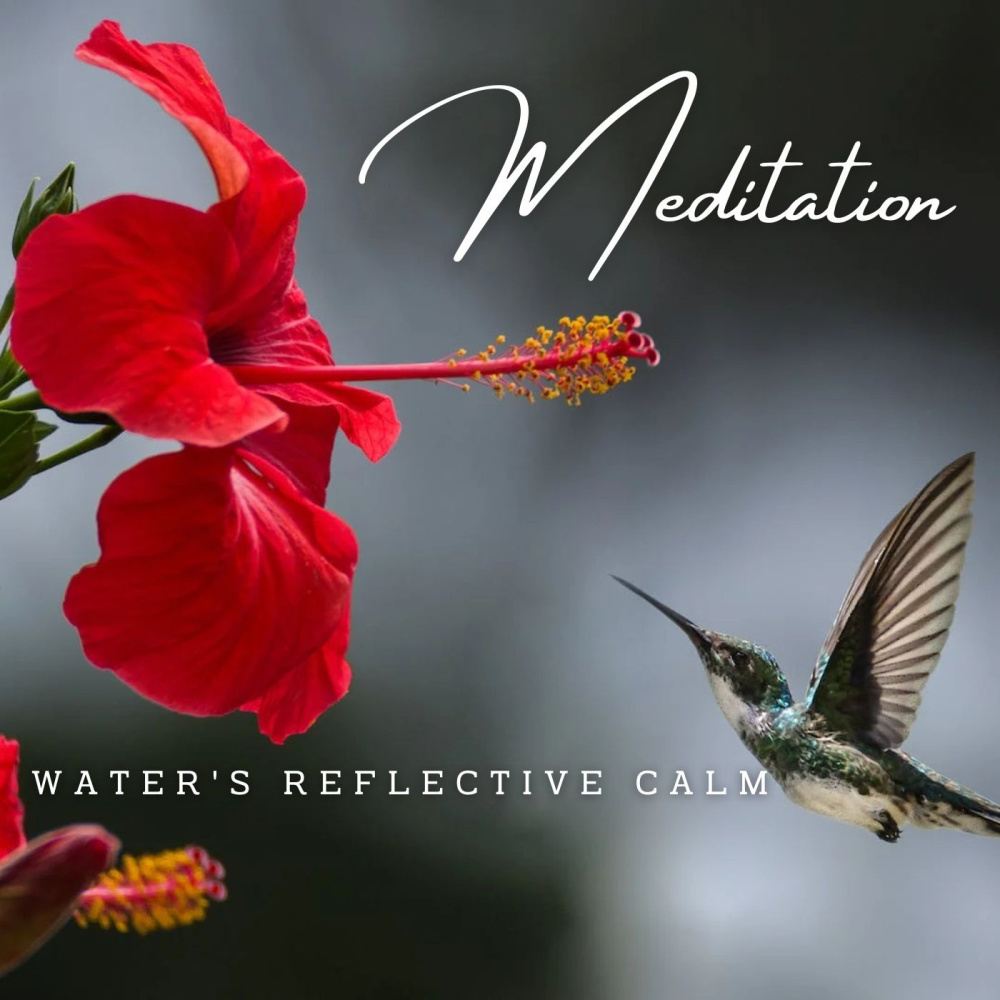 Ambient Waterscape Serenity