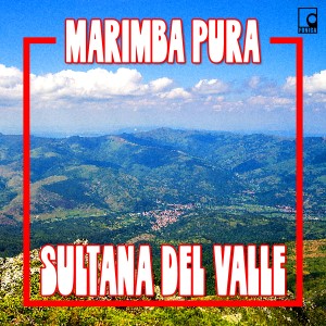 收聽Marimba Pura Sultana del Valle的Mosaico 1: De Madrugada / Pague Cabal / Ambición / El Baile del Caballito / Costa Sur / María Irma / La Gallinita Josefina / María Elena / Soledad / El Merengue de Carol歌詞歌曲