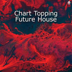 Various Artists的專輯Chart Topping Future House