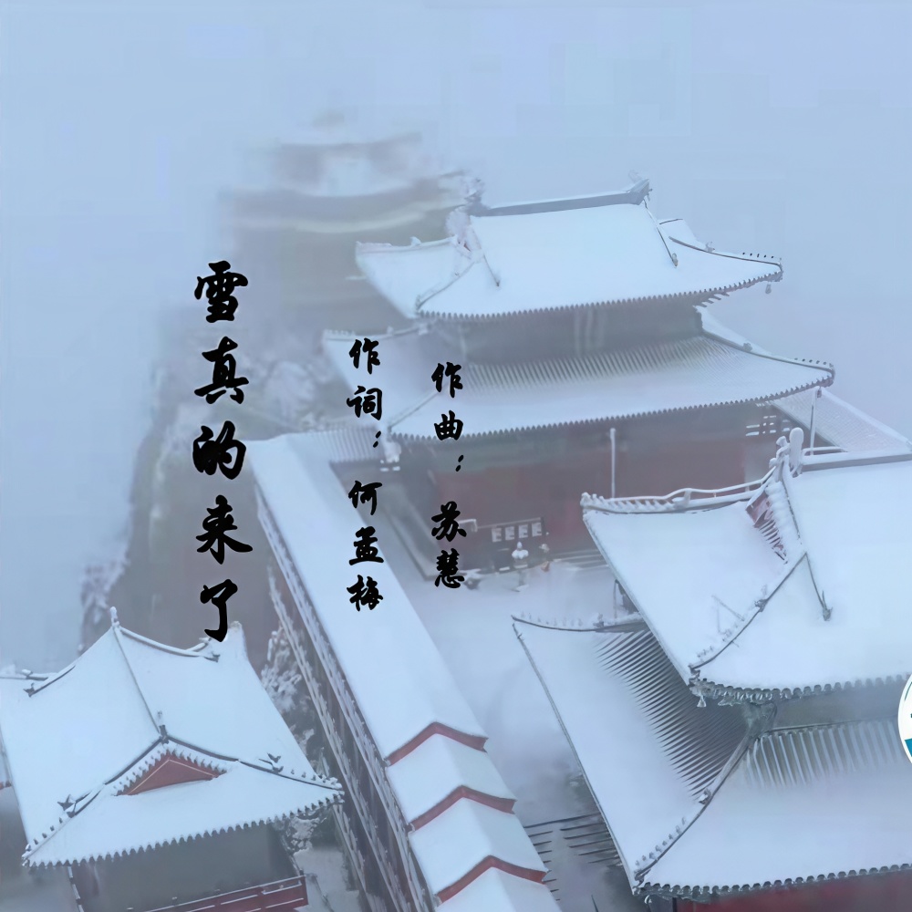 雪真的来了 (完整版)