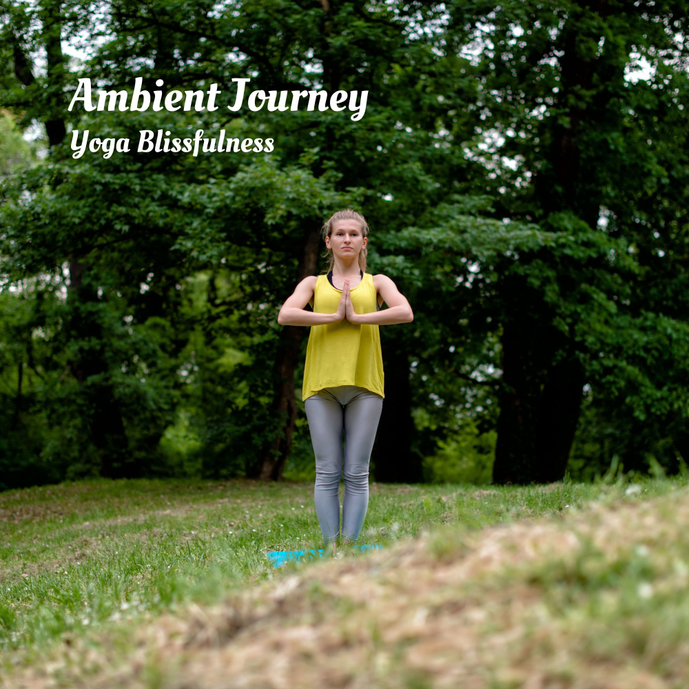 Soothing Chill Grooves