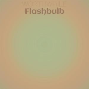 Album Worthwhile Flashbulb oleh Various