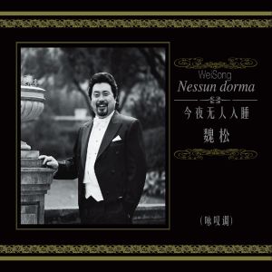 Listen to Nessun dorma song with lyrics from 魏松