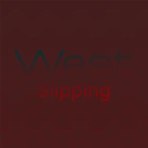 Various Artists的專輯West Slipping