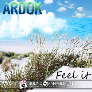 Ardok的專輯Feel It