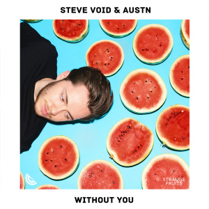 收聽Steve Void的Without You歌詞歌曲