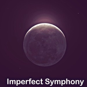 Album Imperfect Symphony from Dj Nicholson