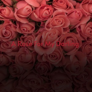 Listen to I Beg You Please song with lyrics from The Romeos