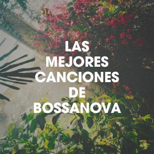 收聽Raquel Silva Joly的Amor em Paz歌詞歌曲