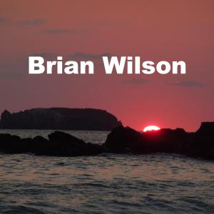 Brian Wilson的專輯i want you