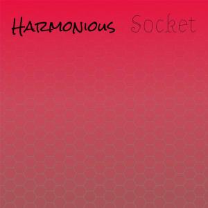 Various Artists的專輯Harmonious Socket