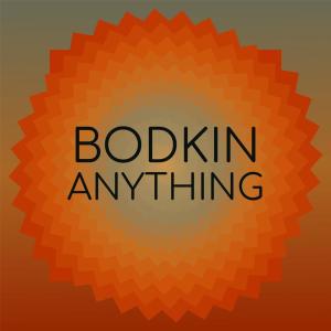 Various的专辑Bodkin Anything