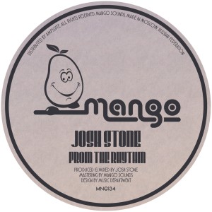 Album From the Rhythm from Josh Stone