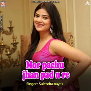 收聽SULENDRA NAYAK的Mor Pachu Jhan Pad N Re歌詞歌曲