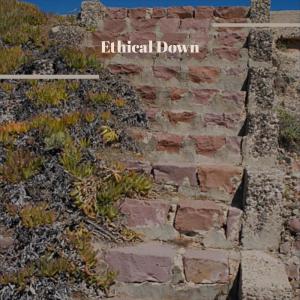 Listen to Ethical Down song with lyrics from Ivayla