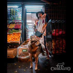 ดาวน์โหลดและฟังเพลง Loups des Loups (Explicit) พร้อมเนื้อเพลงจาก Chakalito