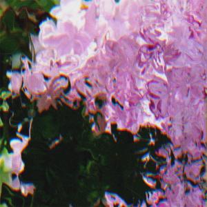ดาวน์โหลดและฟังเพลง lilac. พร้อมเนื้อเพลงจาก Kosu.