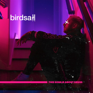Album This Song Is About Drugs (Explicit) from Birdsall