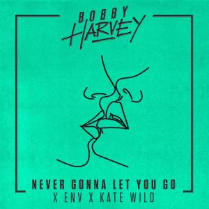 ดาวน์โหลดและฟังเพลง Never Gonna Let You Go พร้อมเนื้อเพลงจาก Bobby Harvey