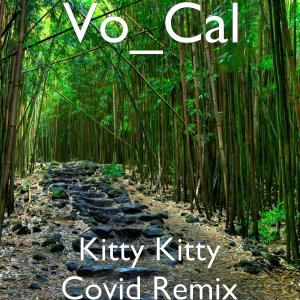 Album Kitty Kitty Covid Remix from 