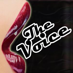 ดาวน์โหลดและฟังเพลง Firework พร้อมเนื้อเพลงจาก Voice DJ's